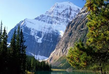 南非足球璀璨之星：荣耀加冕，绿茵传奇再谱新章