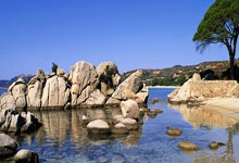 南非足球璀璨之星：荣耀加冕，绿茵传奇再谱新章