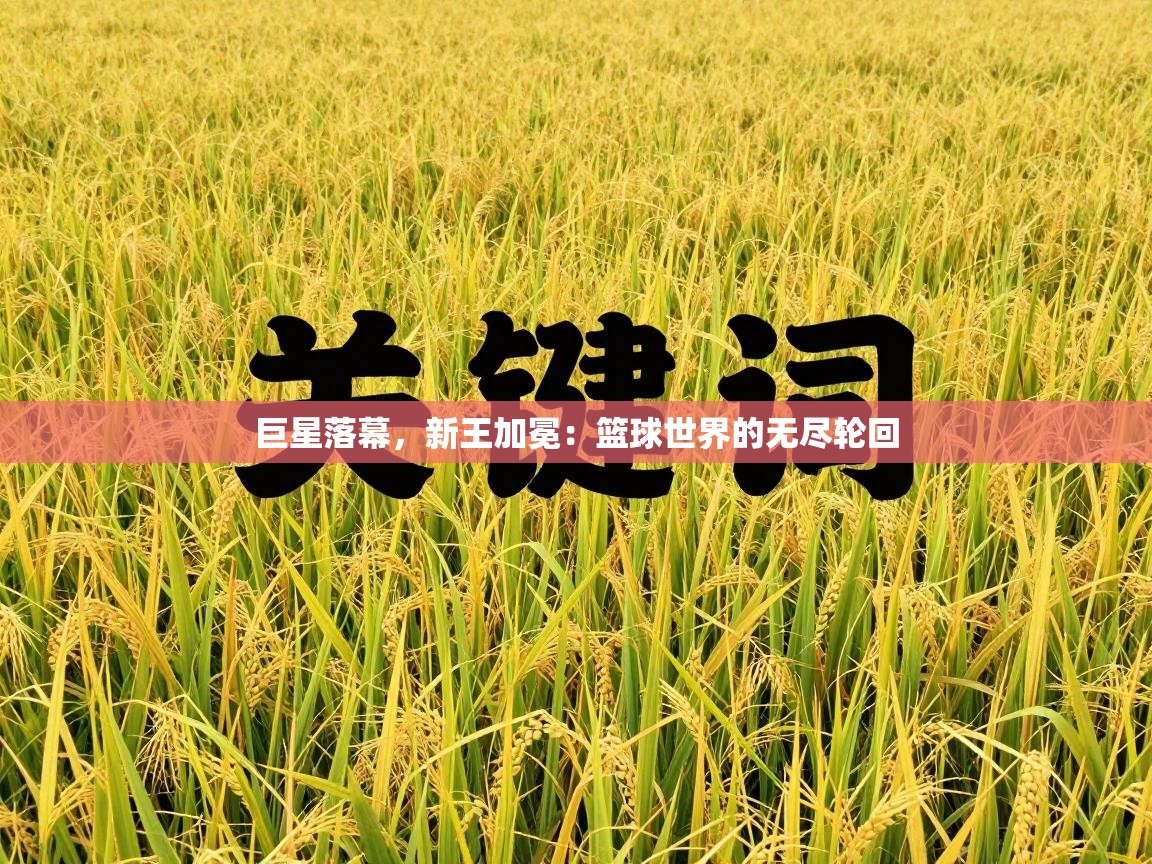 巨星落幕，新王加冕：篮球世界的无尽轮回  第1张