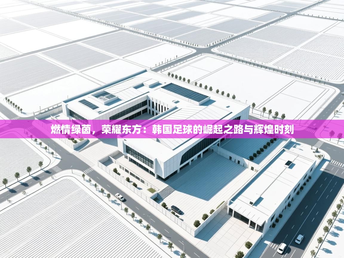 燃情绿茵，荣耀东方：韩国足球的崛起之路与辉煌时刻  第1张