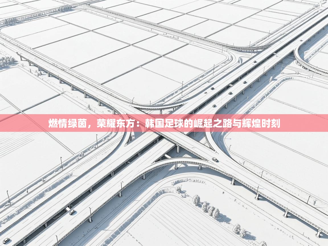 燃情绿茵，荣耀东方：韩国足球的崛起之路与辉煌时刻  第2张