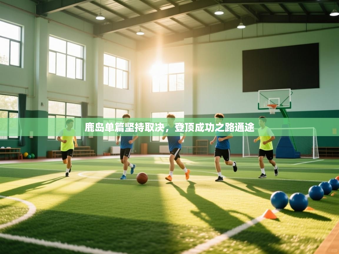 鹿岛单篇坚持取决,登顶成功之路通途 第1张