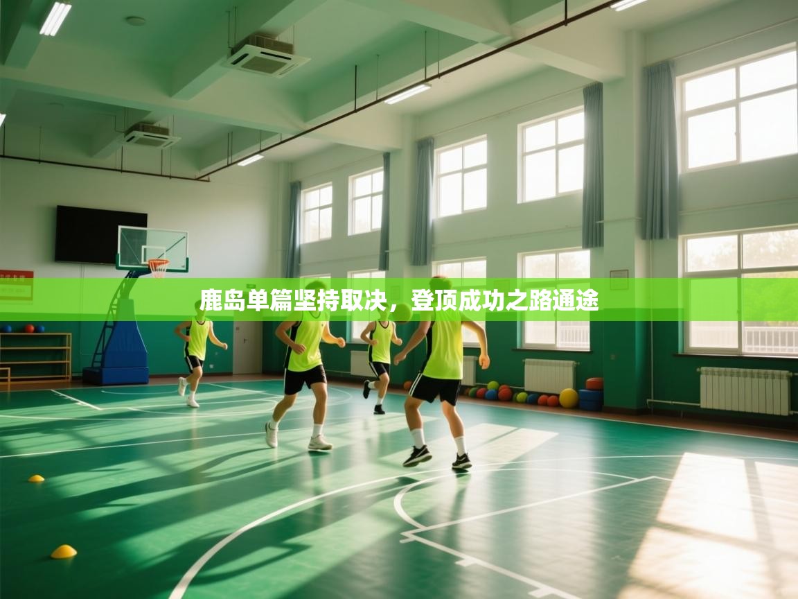 鹿岛单篇坚持取决,登顶成功之路通途 第2张